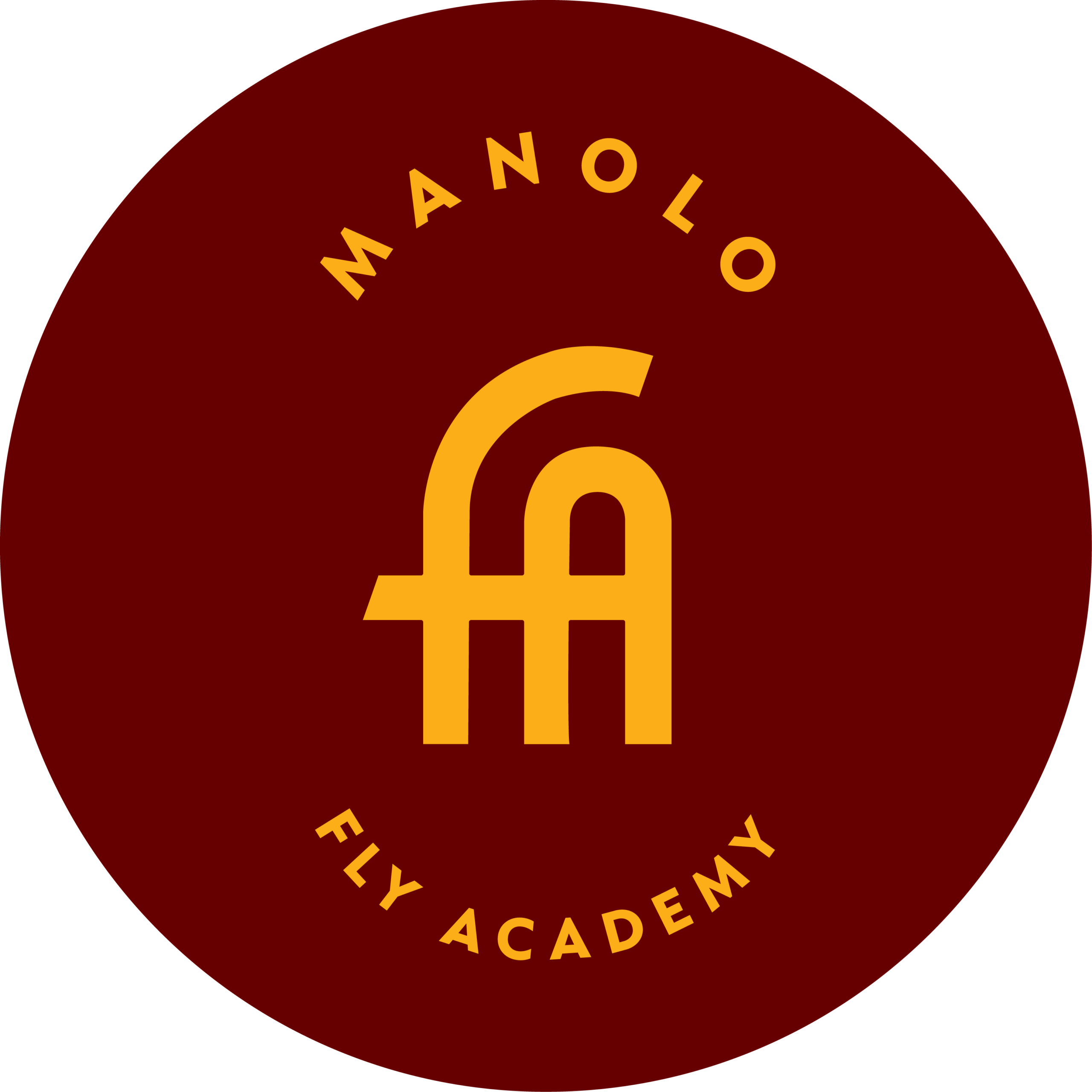 Fly Academy